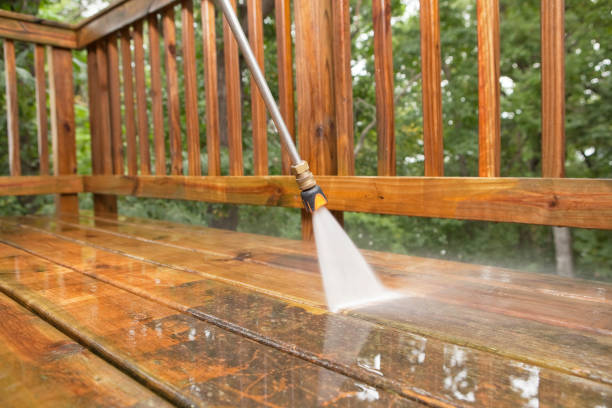 Professional Pressure Washing Services in Dothan, AL